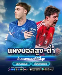 แทงบอลสูงต่ำ